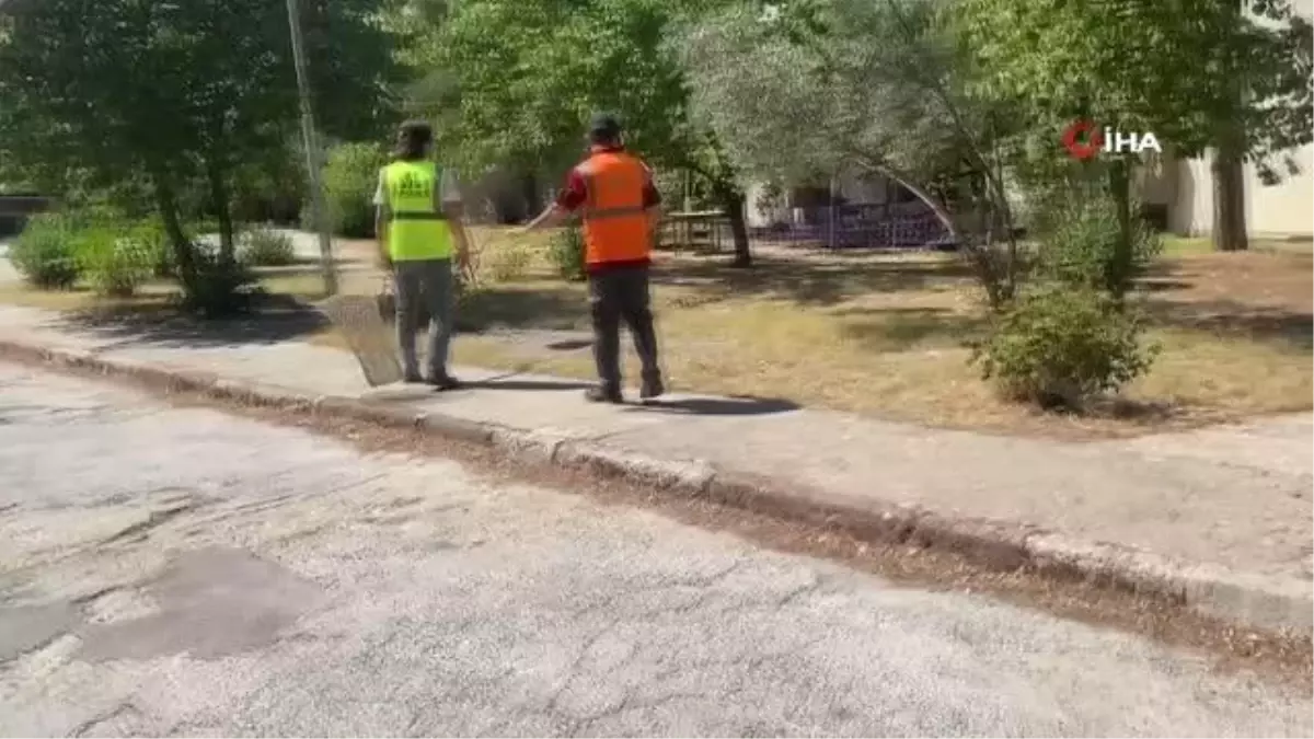 Muğla\'daki yangında hayvanları tahliye edip, beslediler