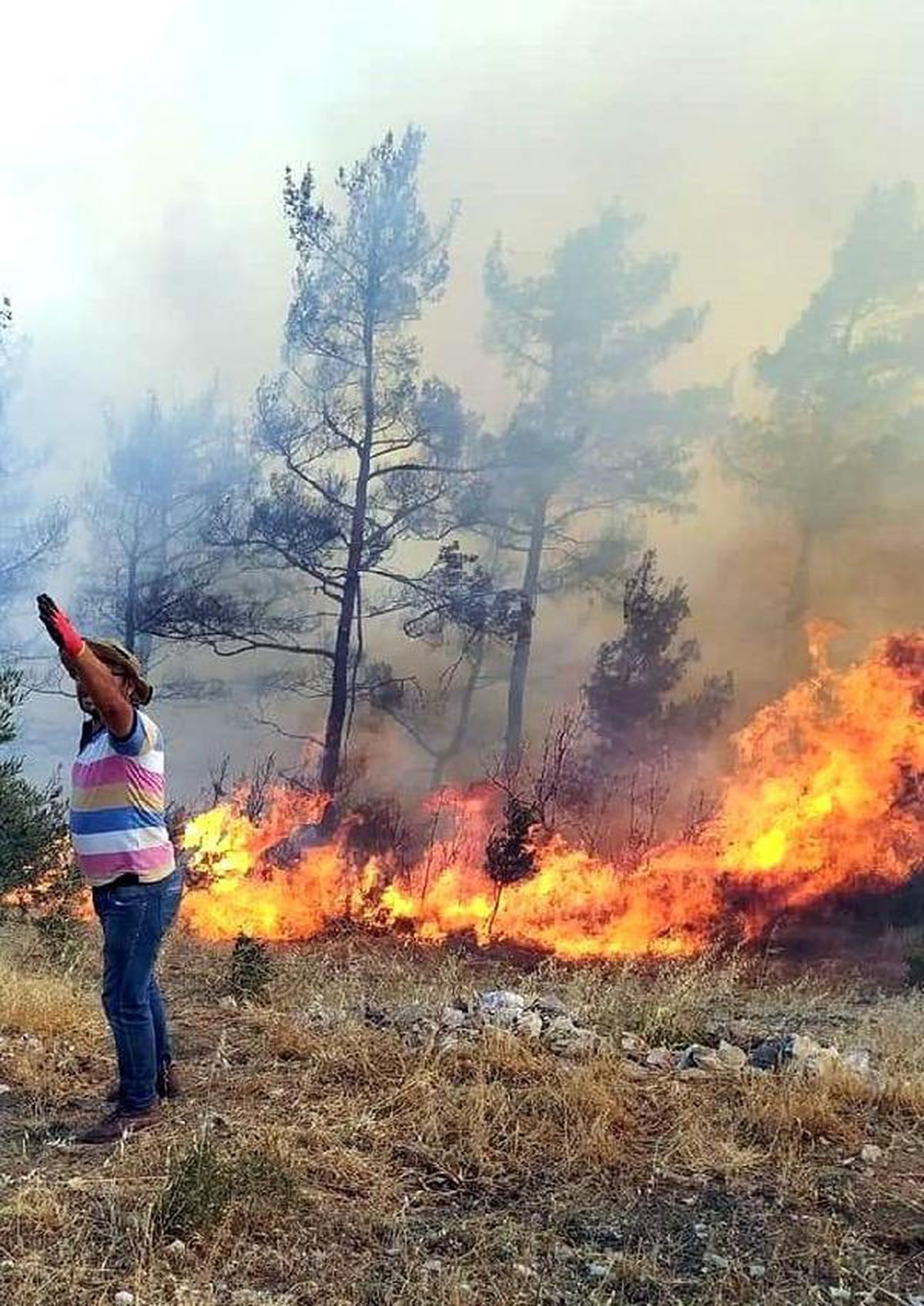 Muğla yangınlarında 62 mahalle ve 38 bin 715 kişi tahliye edildi