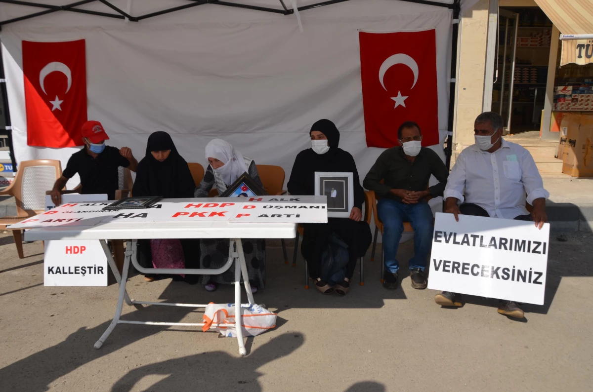 Evlat nöbetindeki anneler: "PKK hem ormanlarımızı hem de yüreğimizi yaktı"