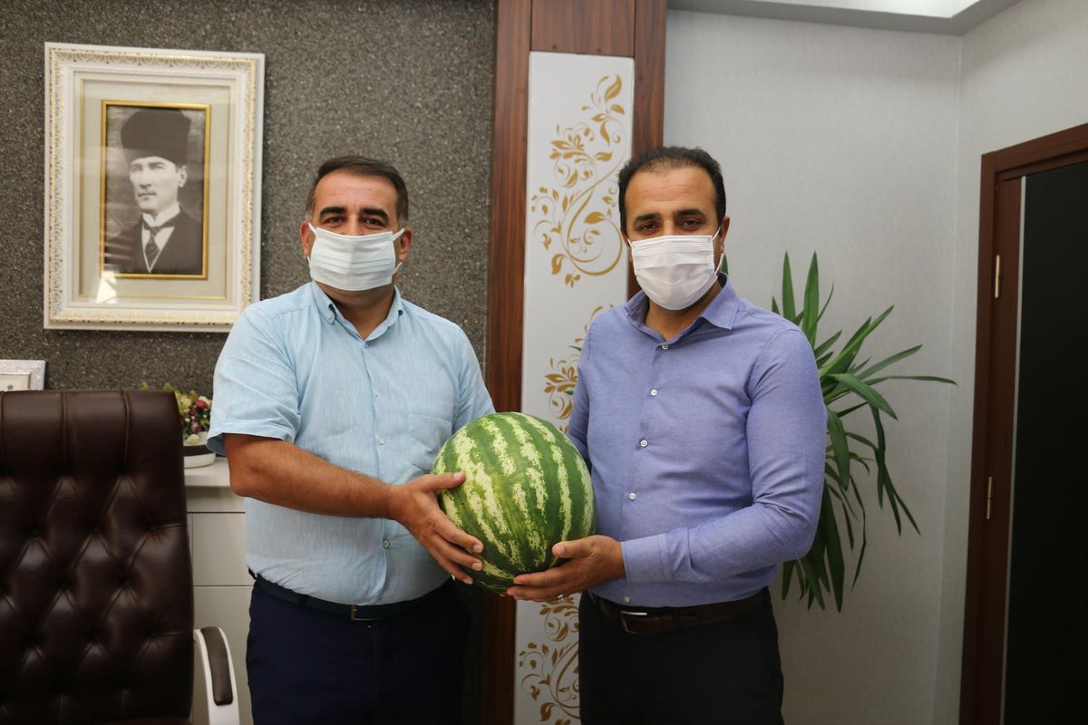 Sıcağın ilacı karpuz