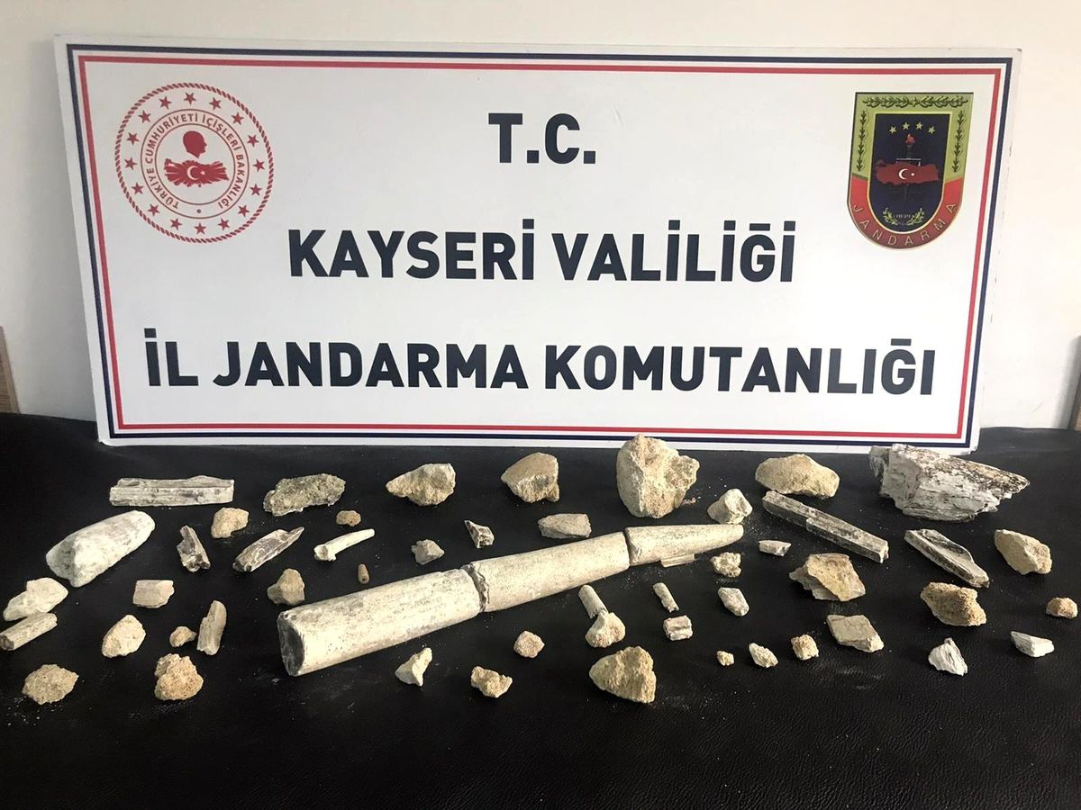 Şüpheli araçtan 44 parça fosil çıktı