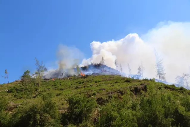 Tarım ve Orman Bakanı Bekir Pakdemirli, Muğla'da konuştu: (2)