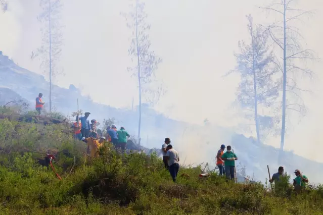 Tarım ve Orman Bakanı Bekir Pakdemirli, Muğla'da konuştu: (2)