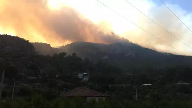 Tarım ve Orman Bakanı Bekir Pakdemirli, Muğla'da konuştu: (2)