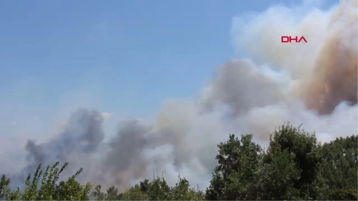 YANGIN BARAJLARA KADAR ULAŞTI