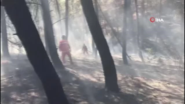 Yangın ormancıların erken müdahalesi ile söndürüldü