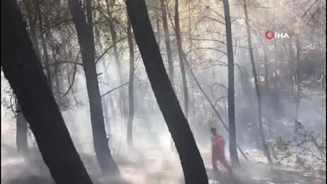 Yangın ormancıların erken müdahalesi ile söndürüldü