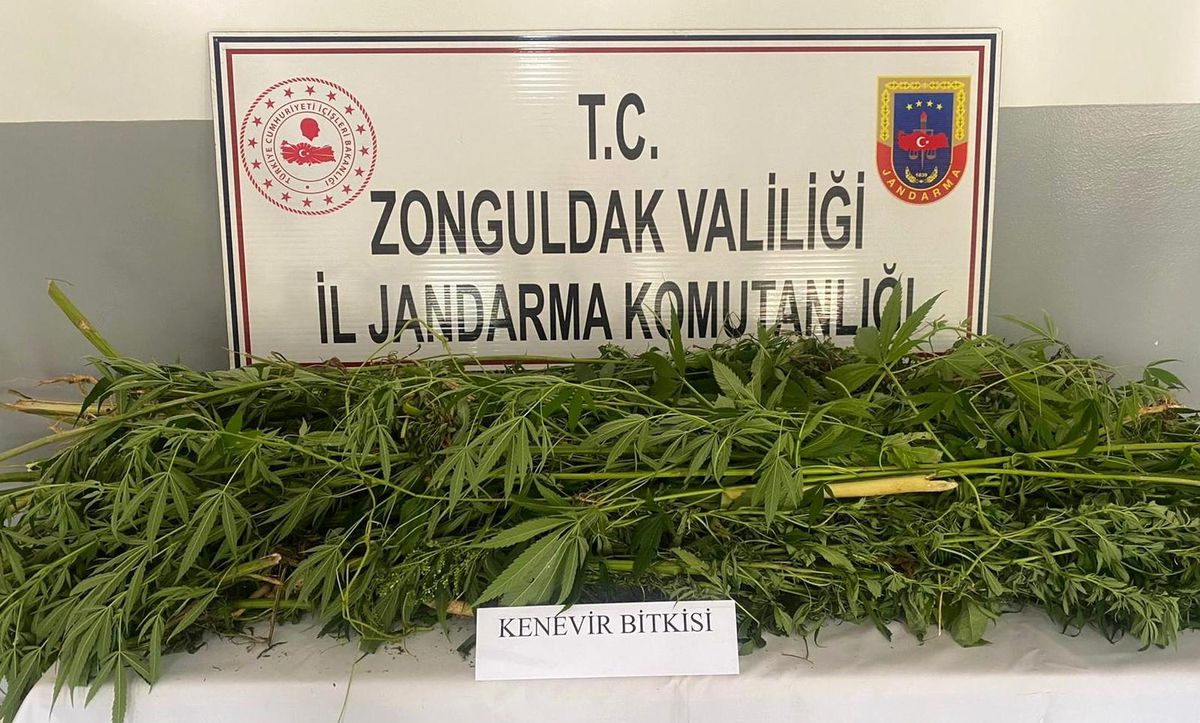 Zonguldak\'ta uyuşturucu operasyonu