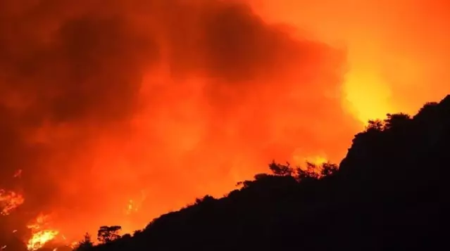 14 gündür süren Köyceğiz yangını kontrol altına alındı 14 gündür süren Köyceğiz yangını kontrol altına alındı