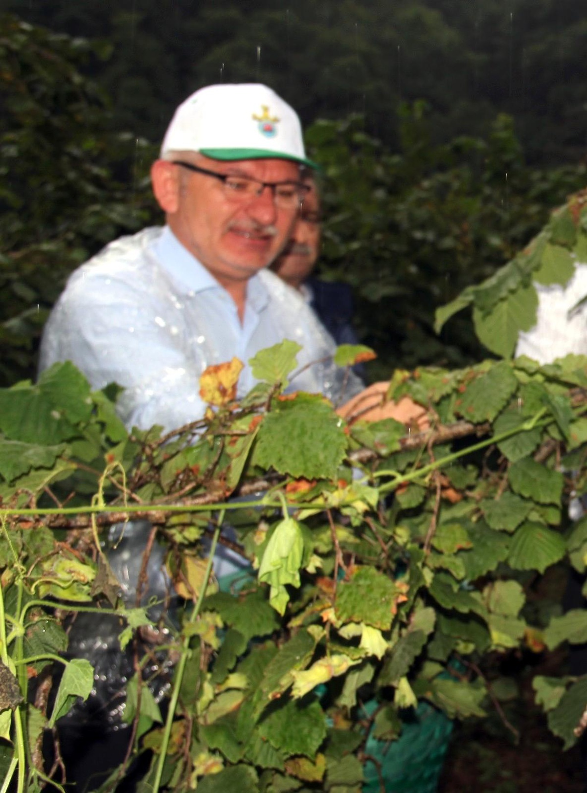 AK Parti Giresun Milletvekili Kadir Aydın: "Üreticinin beklediği fiyat açıklandı"