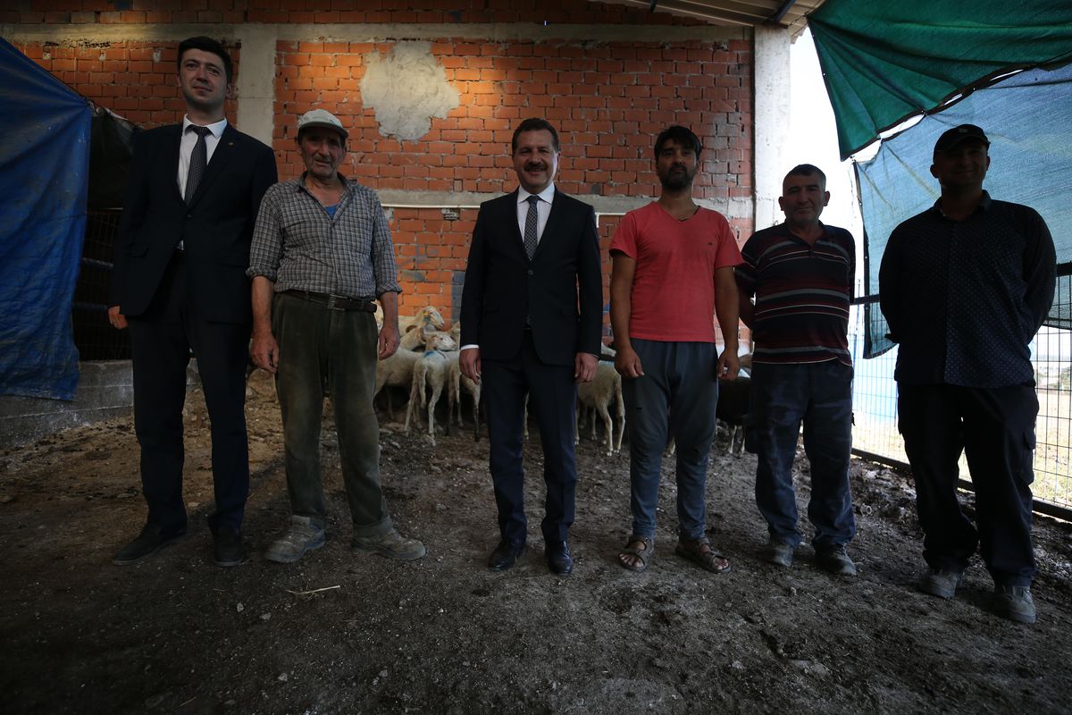 Balıkesir\'deki yangında hayvanları telef olan üreticiye belediyeden destek