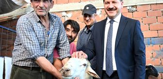 Başkan Yılmaz'dan koyunları yanan çiftçiye destek
