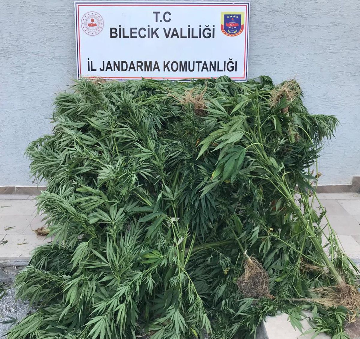 Bozüyük\'te uyuşturucu operasyonunda yakalanan şüpheli tutuklandı
