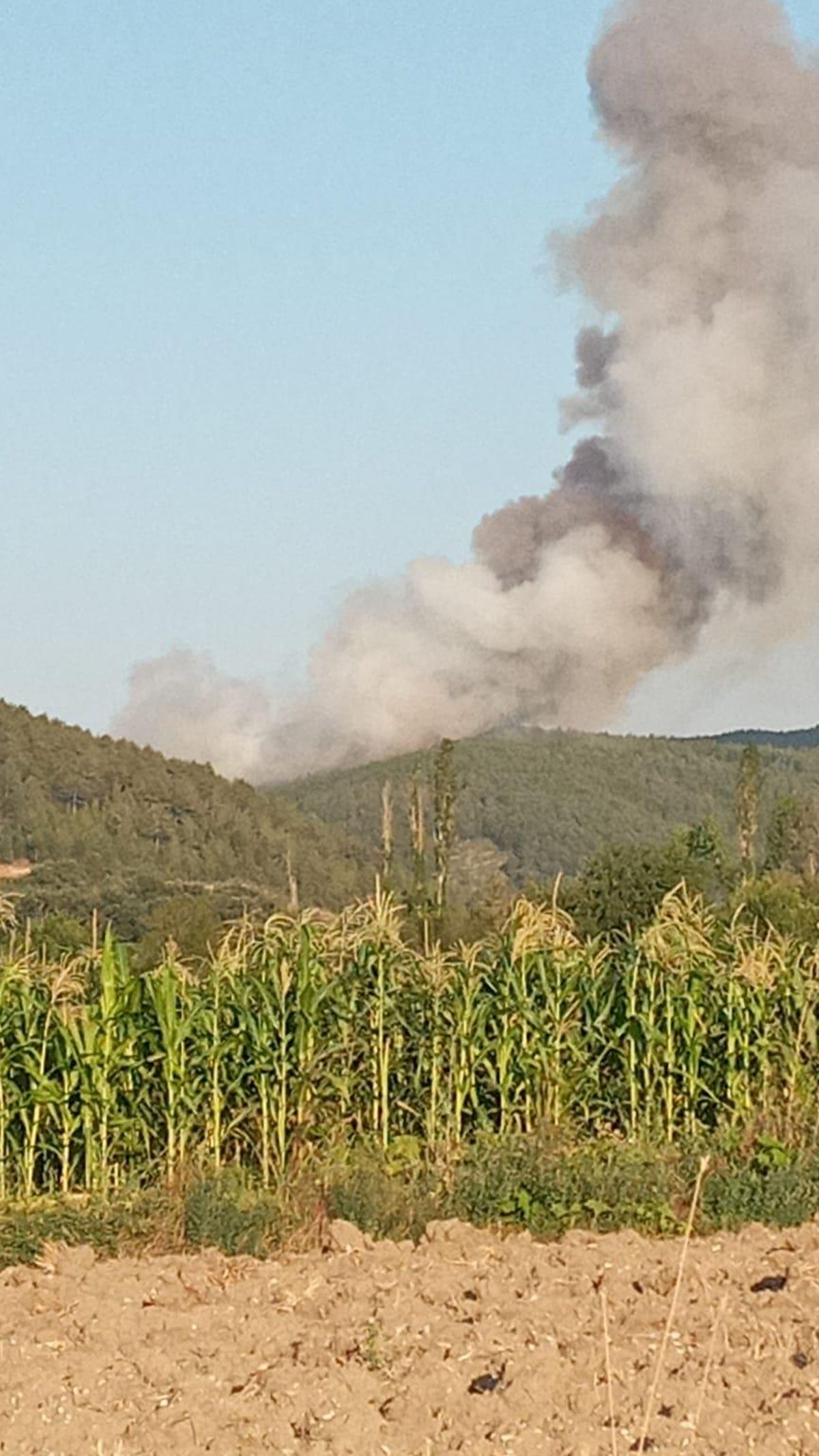 Son dakika... Bursa\'da çıkan orman yangınına havadan ve karadan müdahale ediliyor