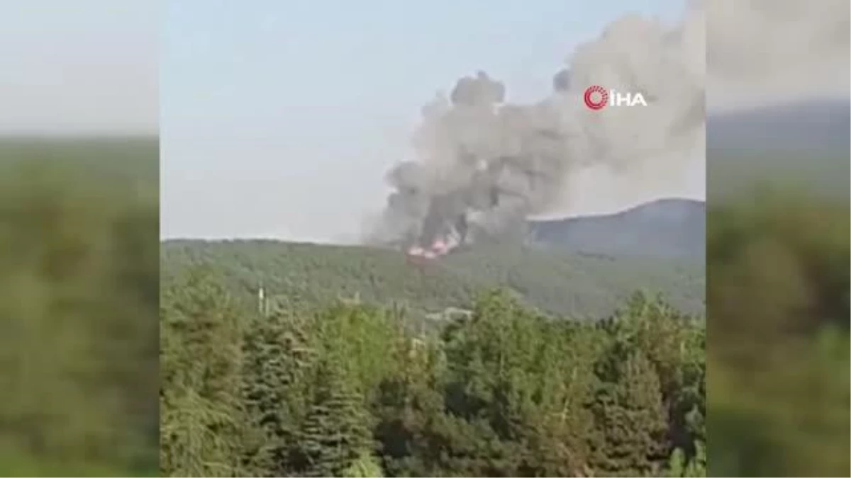 Son dakika haberi | Bursa\'da orman yangını: Havadan ve karadan müdahale sürüyor
