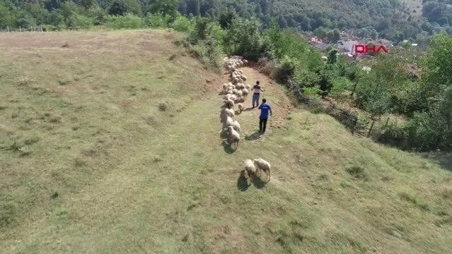 ÇOBANLAR, KOYUN OTLATIRKEN COVİD-19 AŞISI OLDU