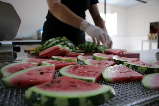 Devletten destek aldı, karpuzdan cips yapıp dünyaya pazarlamaya başladı