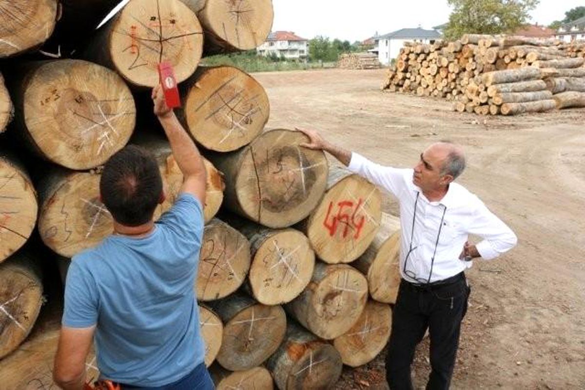 Düzce\'de 457 bin metreküp odun üretildi