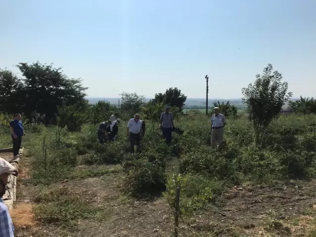 Edirne'de huzurevi sakinleri ektikleri domateslerin hasadını gerçekleştirip kışlık salçalarını yaptılar