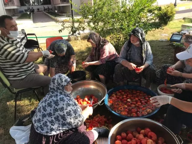 Edirne'de huzurevi sakinleri ektikleri domateslerin hasadını gerçekleştirip kışlık salçalarını yaptılar