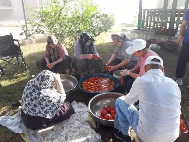 Edirne'de huzurevi sakinleri ektikleri domateslerin hasadını gerçekleştirip kışlık salçalarını yaptılar