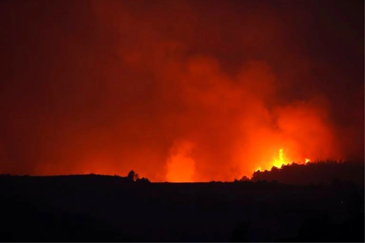 İtalya\'da orman yangınları: 3 kişi hayatını kaybetti, Calabria yönetimi OHAL istedi