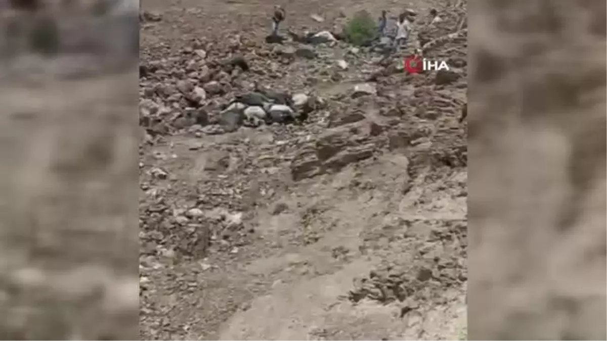 Kahramanmaraş\'ta yıldırım düşmesi sonucu 45 keçi telef oldu