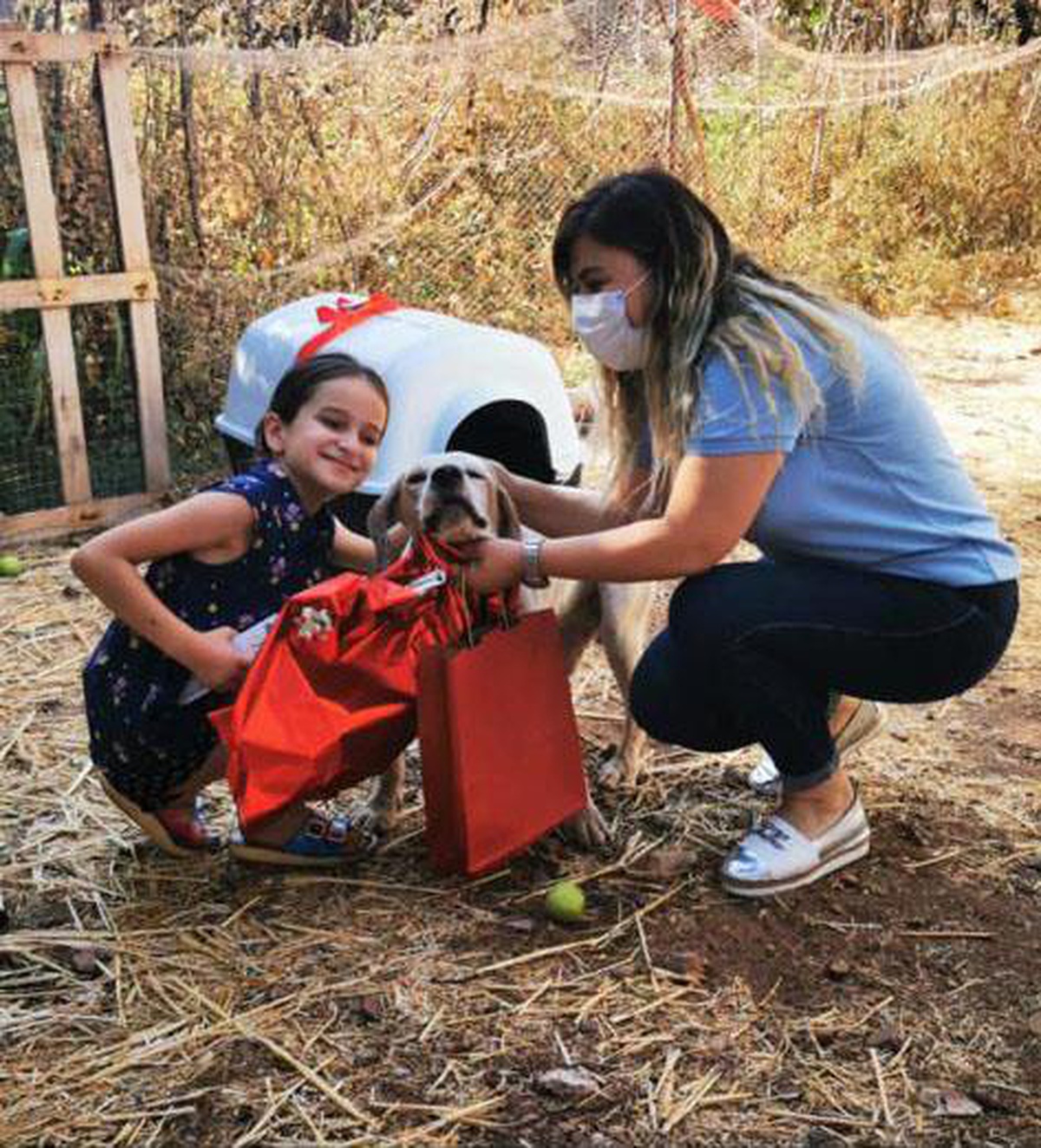 Marmaris\'teki yangında köpeğinin kulübesi yanan çocuğun dileğini Kaymakamlık gerçekleştirdi