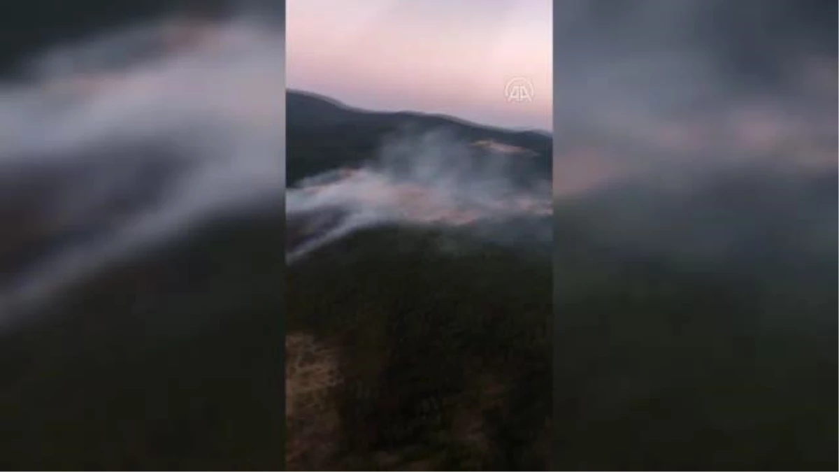 Son dakika haber! Orman yangını havadan ve karadan müdahaleyle kontrol altına alındı