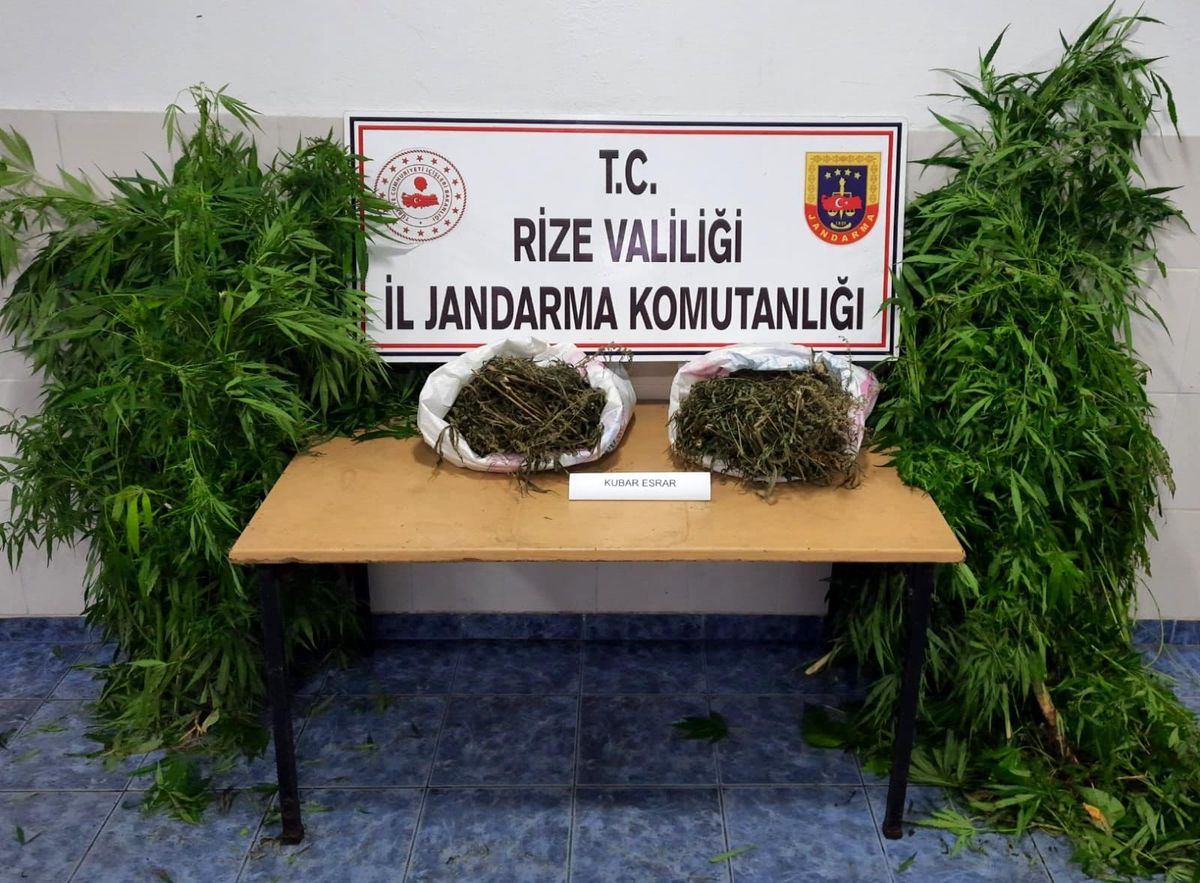 Son dakika! Rize\'de uyuşturucu operasyonu: 1 gözaltı