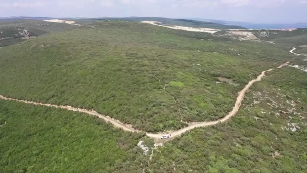 Saros\'un maviyle yeşili buluşturduğu koyları keşfedilmeyi bekliyor