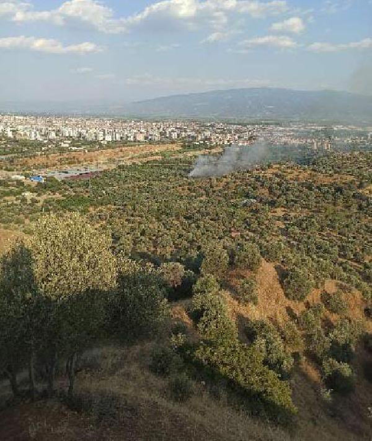 Tadilatta ağaçlık yangınına neden olan ev sahibi serbest