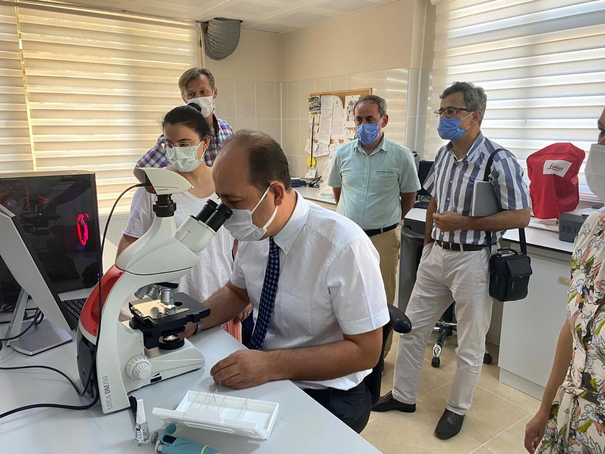 Tekirdağ\'da buğday analizleri başladı: Dış armatörlere binlerce dolar akmayacak