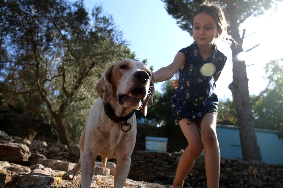 Yangında köpeğinin kulübesi yanmıştı, minik Merve\'nin hayali gerçek oldu