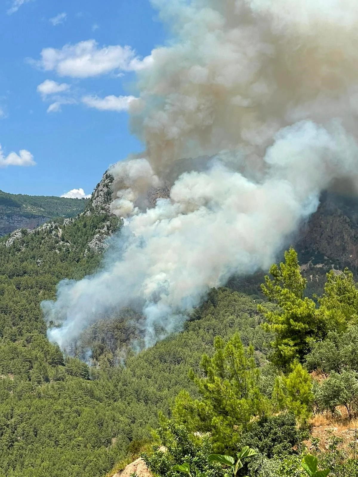 Alanya\'da biri orman 2 ayrı yerde çıkan yangın söndürüldü