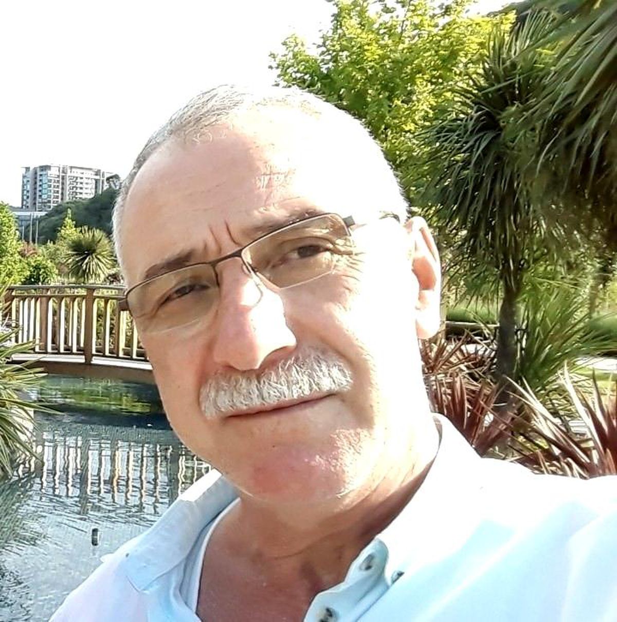 Armut ağacından düşen kişi hayatını kaybetti