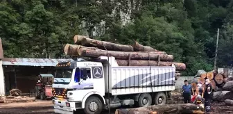 Son dakika haber... Artvin'de üzerine tomruk düşen kişi öldü