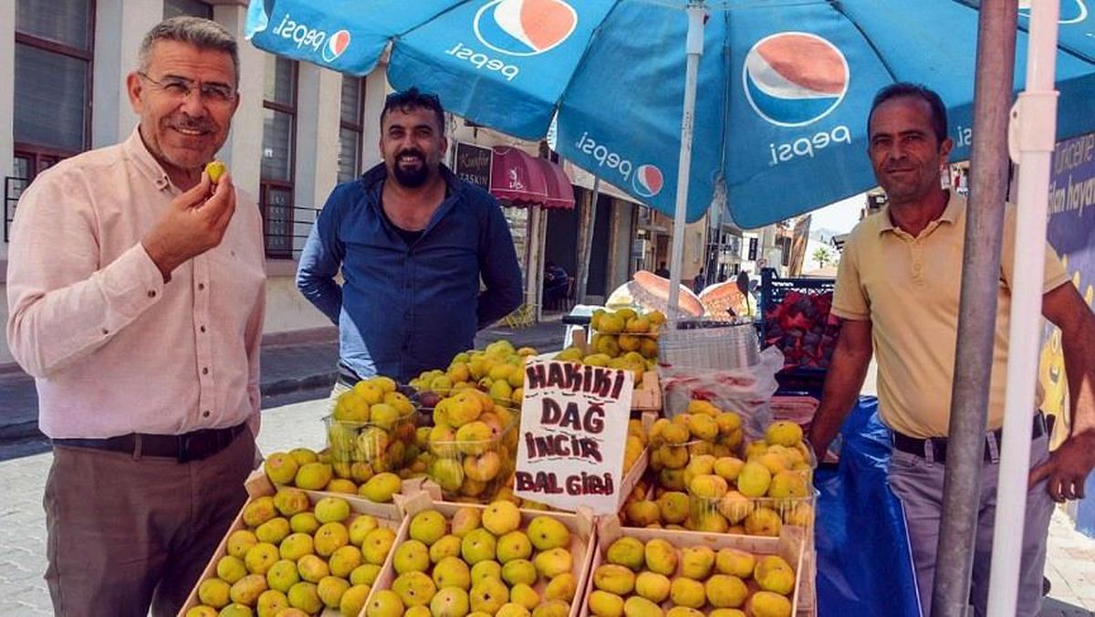 Başkan Güler; "Yeni incir sezonu üreticilerimize bereketli olsun"