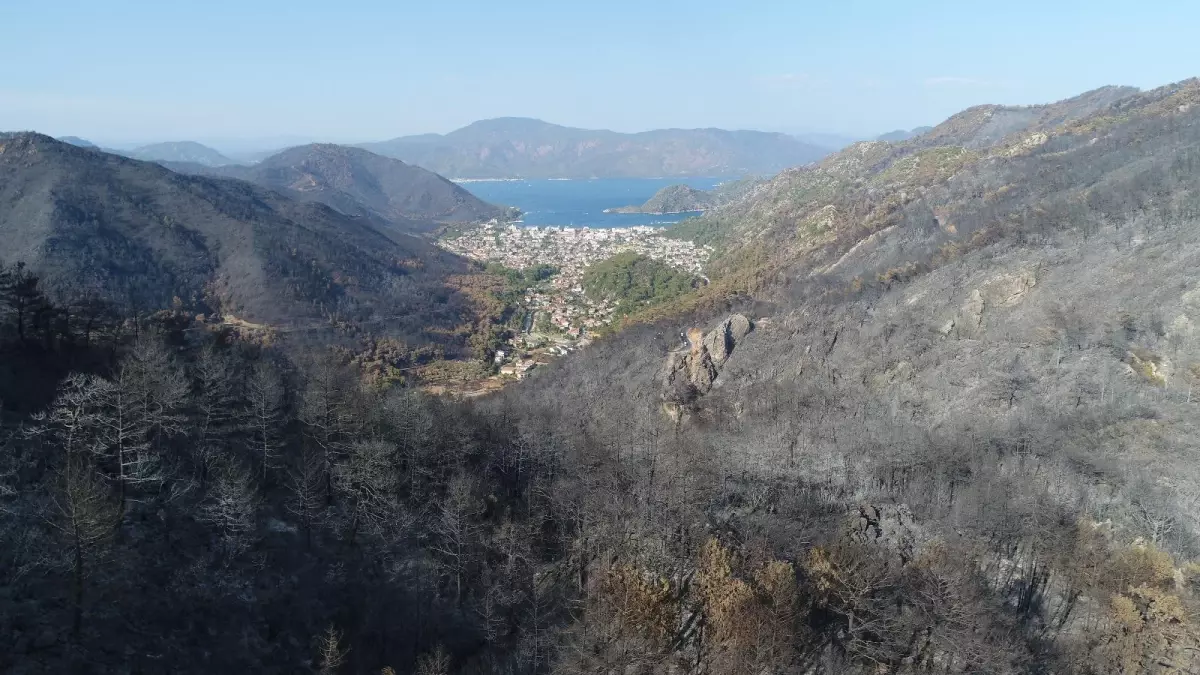 Son dakika! Marmaris\'te yangından zarar gören alanlar havadan görüntülendi