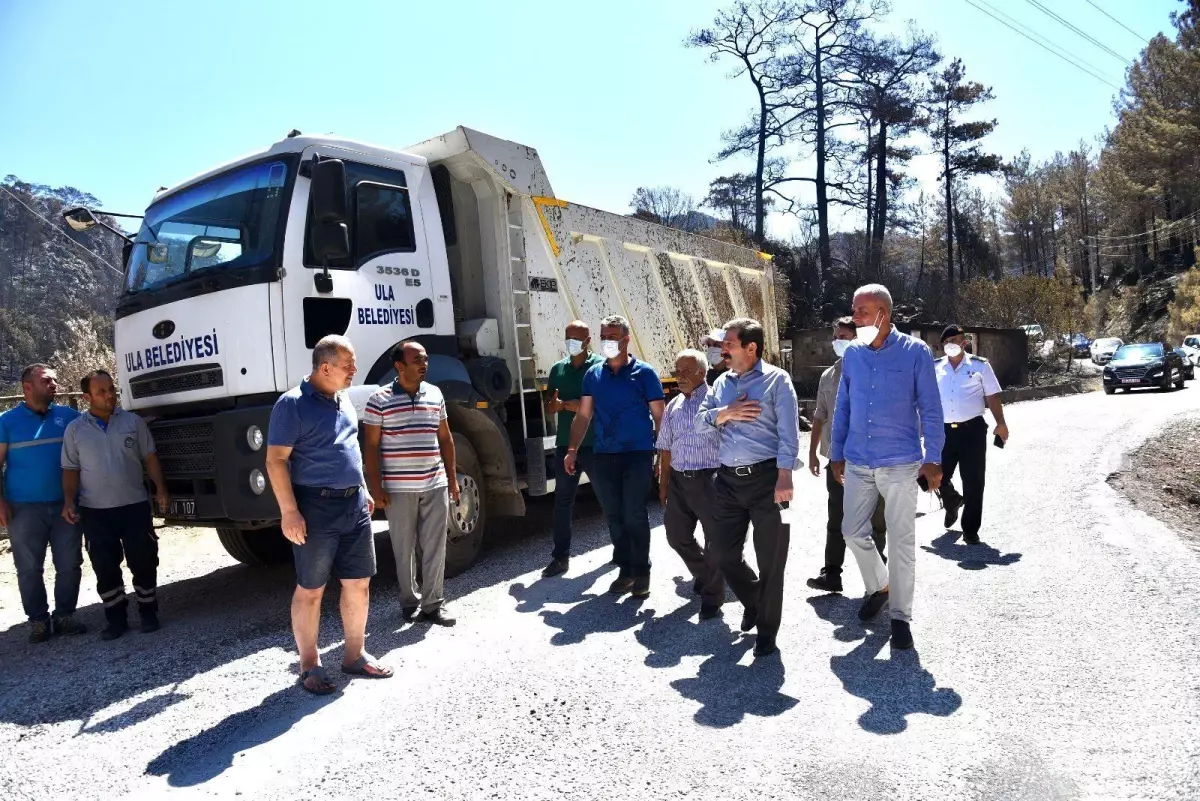 Son dakika haberi | Muğla\'da orman yangınlarının yaraları sarılıyor