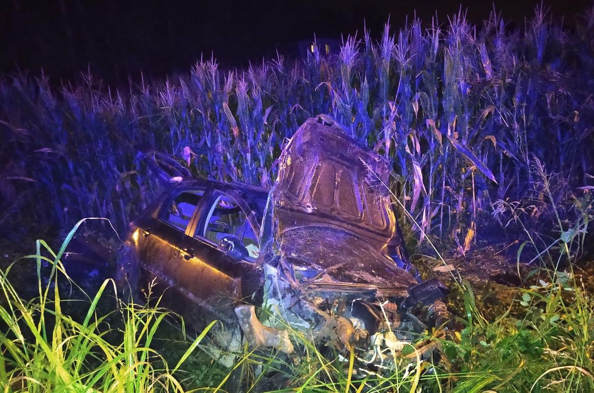 Sakarya\'da tarlaya devrilen araçtaki 4 kişi yaralandı