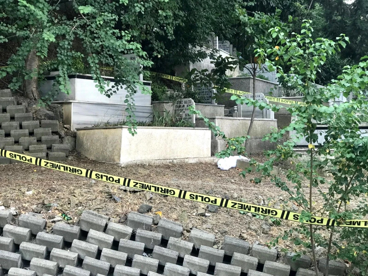 Feriköy Mezarlığı\'nda çarsafa sarılı köpek leşi bulundu