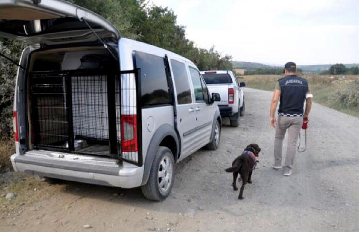 Tekirdağ\'da kaybolan 35 yaşındaki muhasebecinin bulunması için çalışma başlatıldı