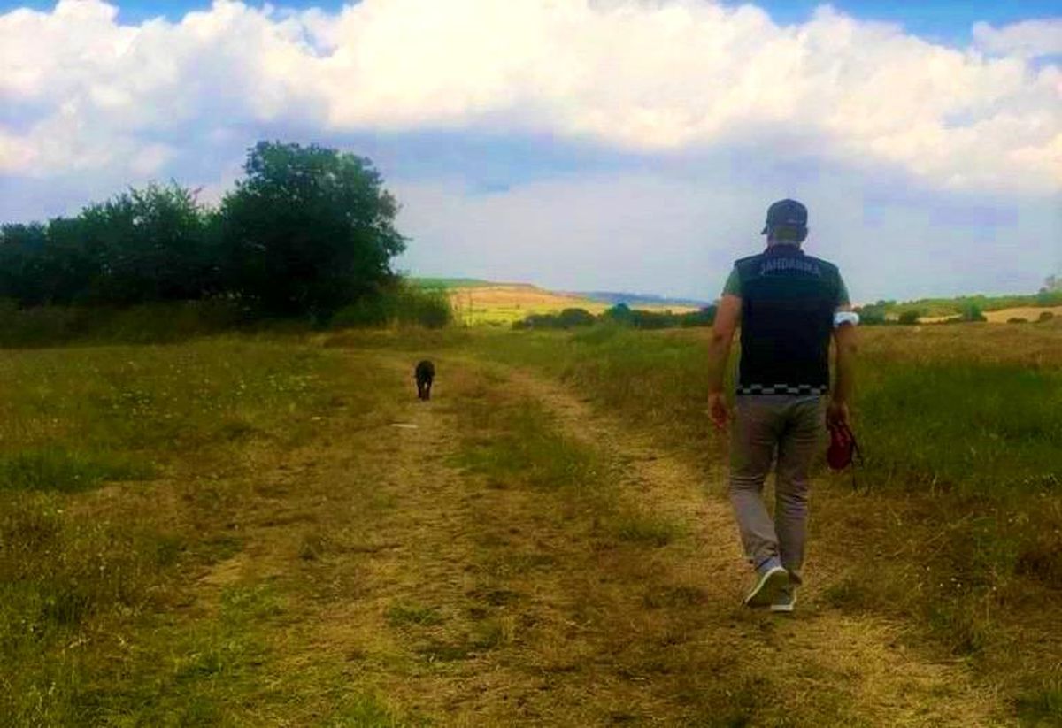 Tekirdağ\'da kaybolan muhasebeci aranıyor