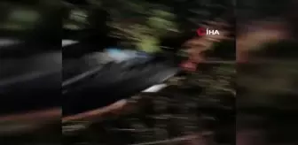 UEDAŞ ekipleri yaralı leyleğin yardımına koştular