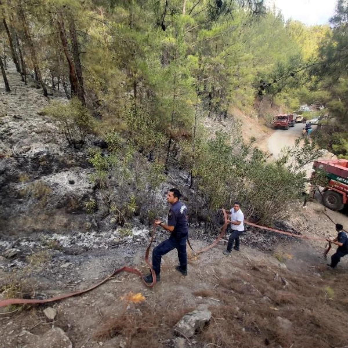 Alanya\'da 18 saatlik orman yangınında 8 hektar alan yandı