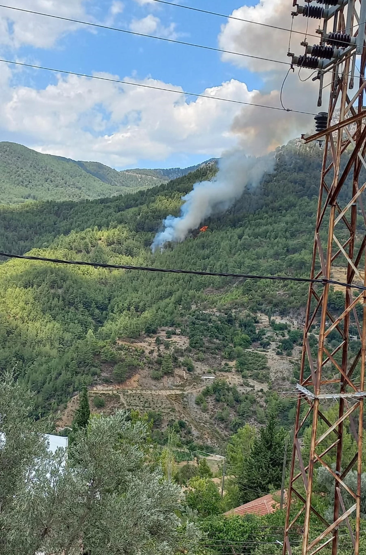 Son dakika haber... Antalya\'daki orman yangını kontrol altına alındı