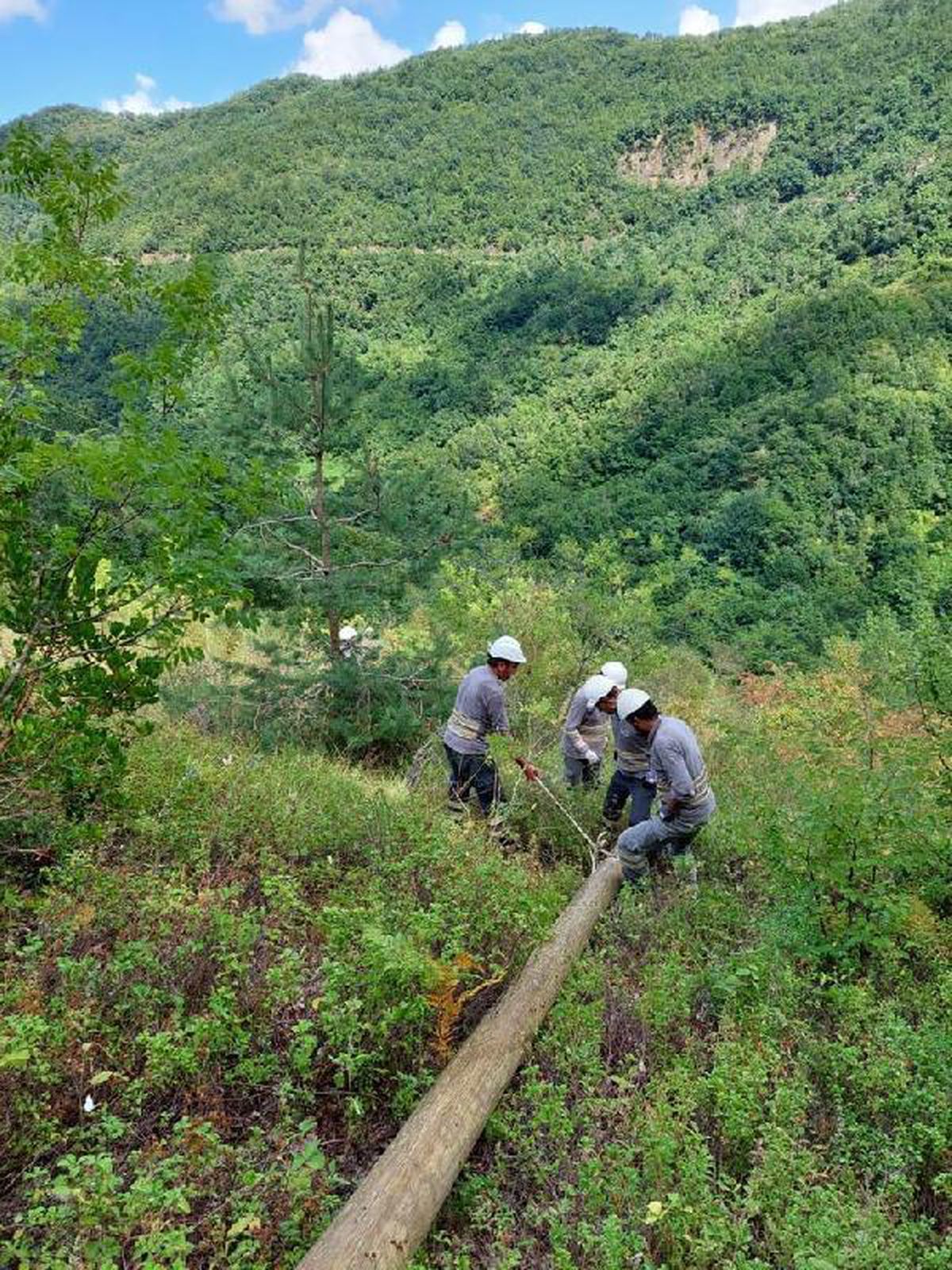 Son dakika haberleri: Bakanlık: Sel bölgesinde elektrik veriliyor