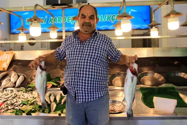 Balık avı sezonu öncesi fiyatlar normal seyrediyor Balık avı sezonu öncesi fiyatlar normal seyrediyor