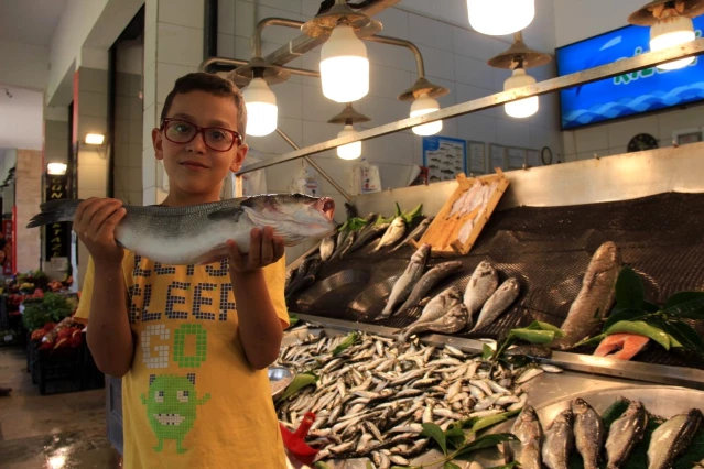 Balık avı sezonu öncesi fiyatlar normal seyrediyor
